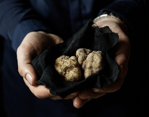 Supper Club <br> All Things Truffle
